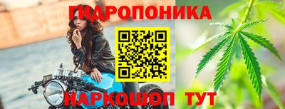 ешки Лесосибирск