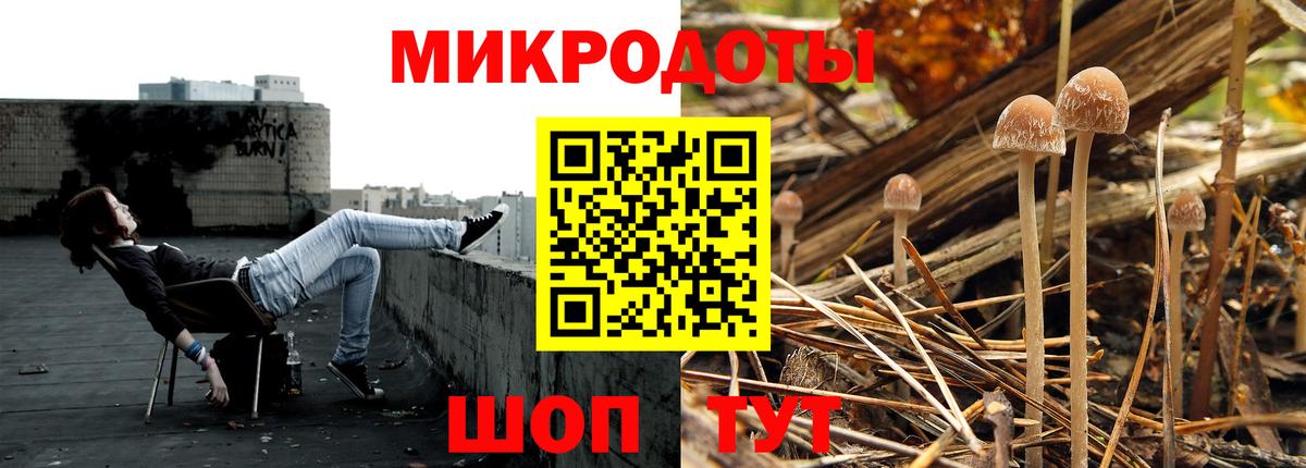 Дмитров  Галлюциногенные грибы прущие грибы  Вход с VPN  Галлюциногенные грибы Cubensis 
